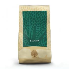Essential Stamina