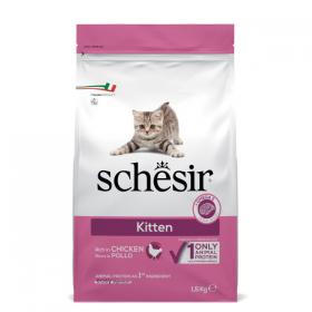 Schesir Dry Kitten