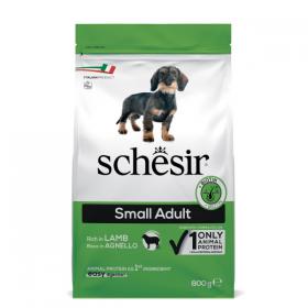 Schesir Dry Small Dog Jagnjetina