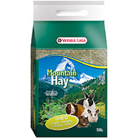 Mountin Hay Mint
