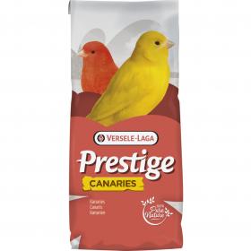 Prestige Canary Breeding