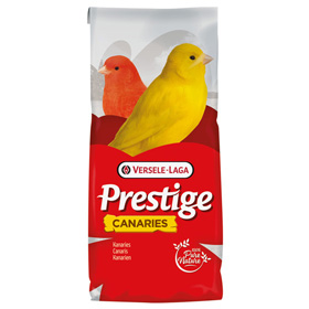 Prestige Canary Breeding Without Rapeseed Extra