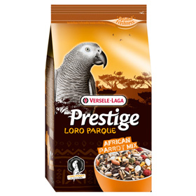 Prestige Premium African Parrot