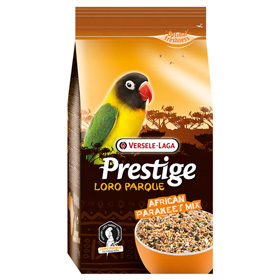 Prestige Premium African Parakeet