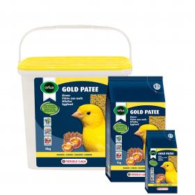 Orlux Gold Pate Canaries