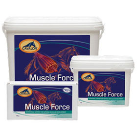 Muscle Force  60x15g