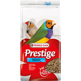 Prestige Tropical Finches