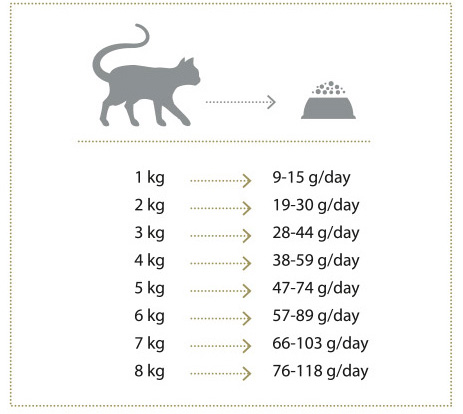 Sterilised Cat dodatna slika