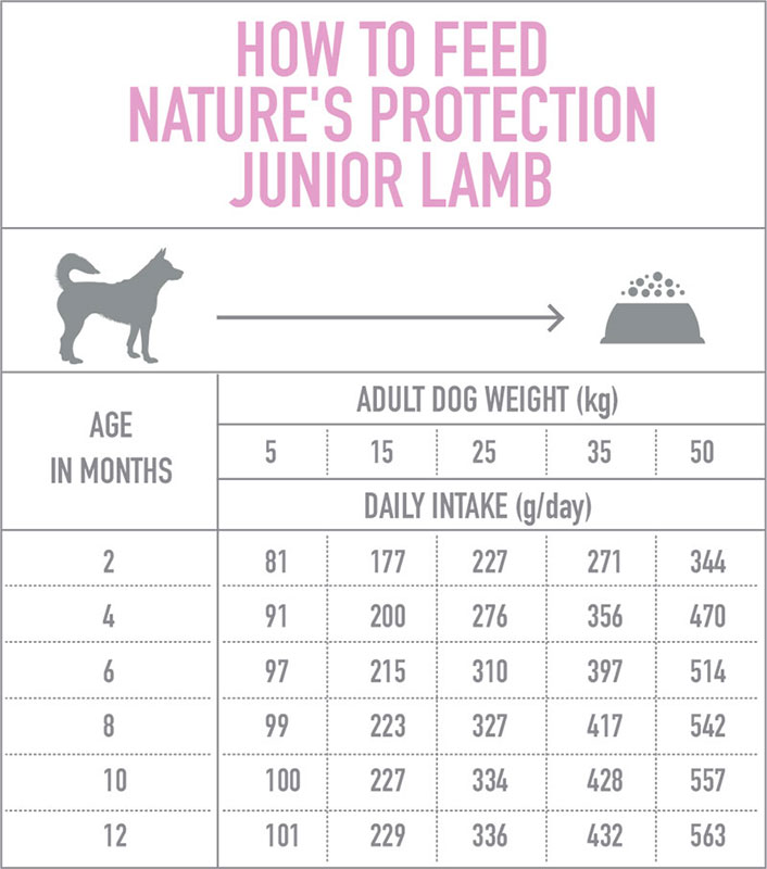 Junior Lamb 2-18 Months All Breed Dog dodatna slika