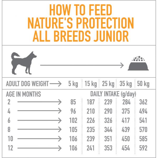 Junior Poultry 2-12 Months All Breed Dog dodatna slika
