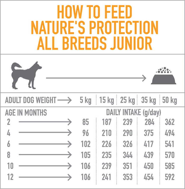 Junior Poultry 2-12 Months All Breed Dog dodatna slika