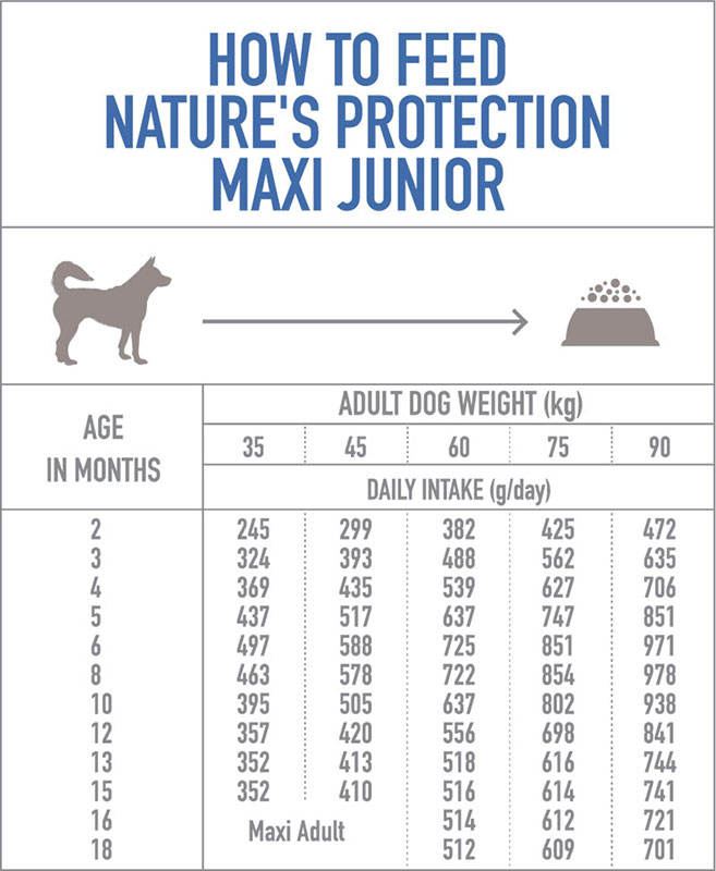 Maxi Junior - Large Breed - 2-18 meseci starosti dodatna slika